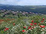 Melnik3.JPG