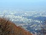 Sofia1.jpg