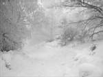 Vitosha_zl_mostove.JPG