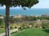 dscf0726_small.jpg