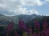 dscf0852_small.jpg