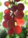 dscf0869_small.jpg